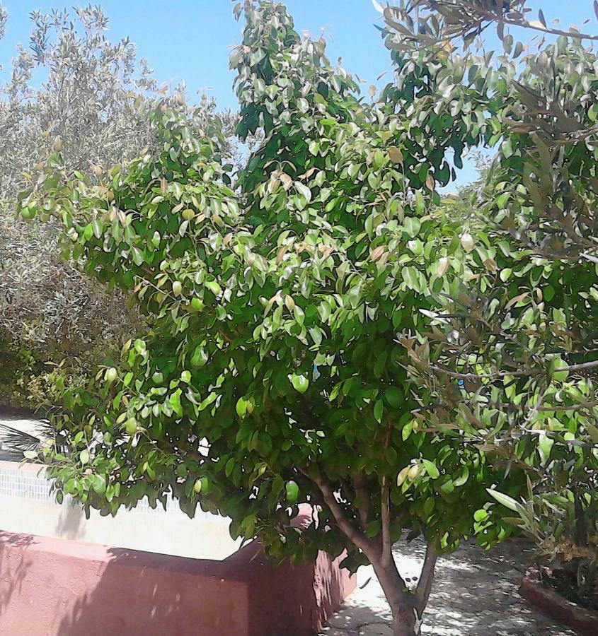 הוילה סן ויטו לו קאפו Baglio Del Sole מראה חיצוני תמונה